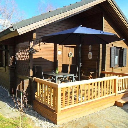 Komfortables-Ferienblockhaus-Nr-27-56-Qm-Bis-4-Personen-Viechtach-Jaegerpark Eksteriør bilde